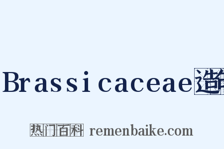 Brassicaceae造句是什么意思的图片
